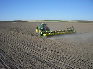 About us - planting