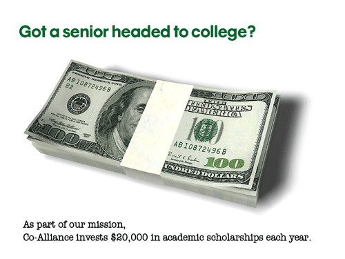 scholarship