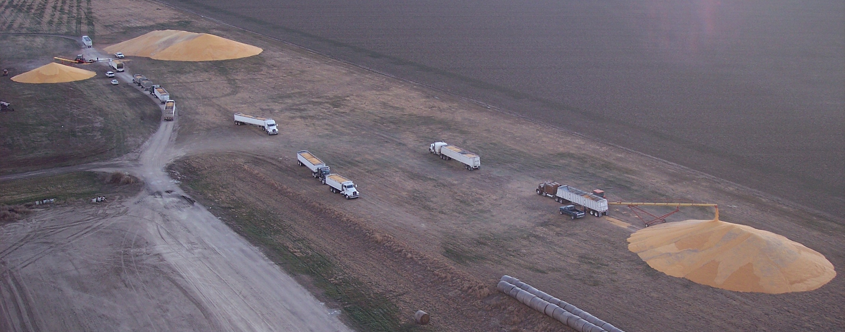 Harvest Groundpile