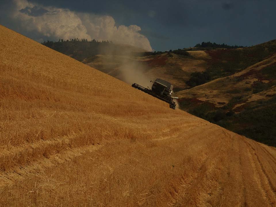 Harvest