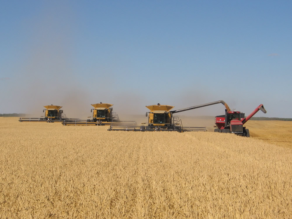 Harvesting