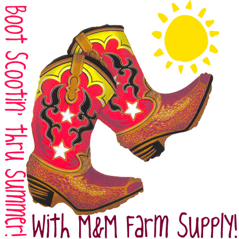 Boot Scootin