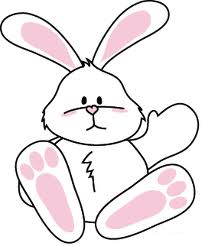 Bunny