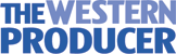 WP-2010-Flag-No-Box-FINAL-copy